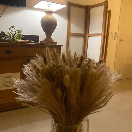 - Vue Et Village * Piana (Corsica)