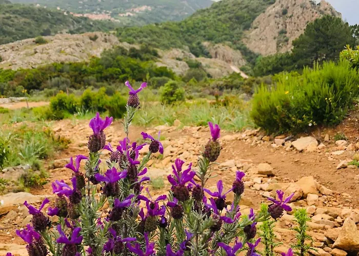 Appartement - Vue Et Village
