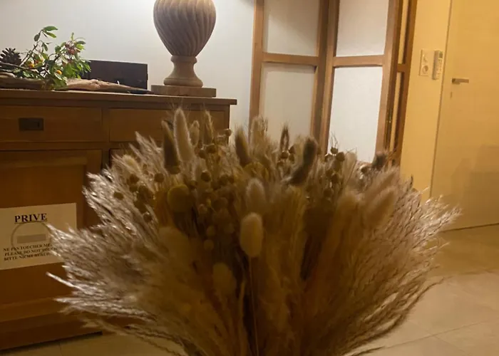 - Vue Et Village * Piana (Corsica)