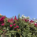 - Vue Et Village