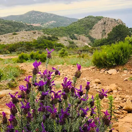 Appartement - Vue Et Village