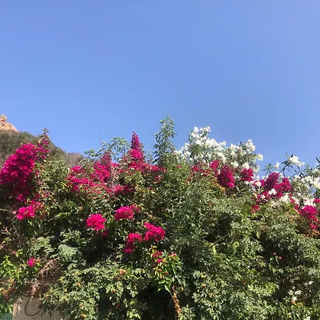 - Vue Et Village