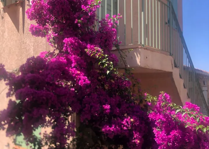 - Vue Et Village Apartamento Piana (Corsica)