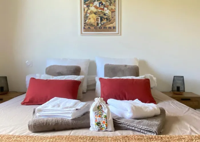 Apartamento - Vue Et Village Piana (Corsica)