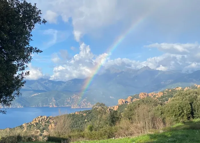 - Vue Et Village *