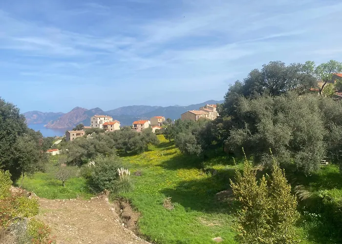 - Vue Et Village *